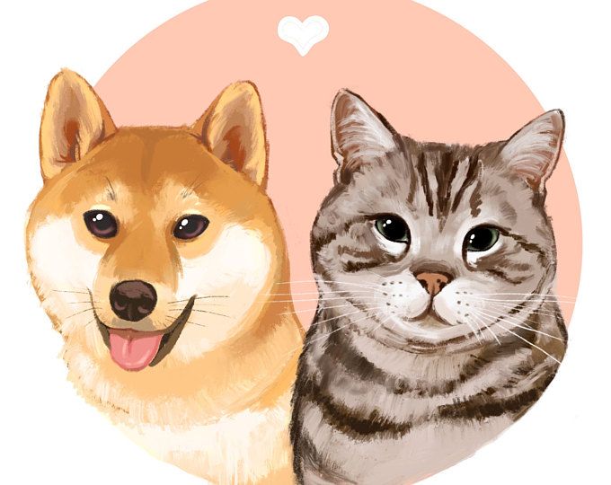 porque ta🐕 bien los a🐈 amos  ❤️