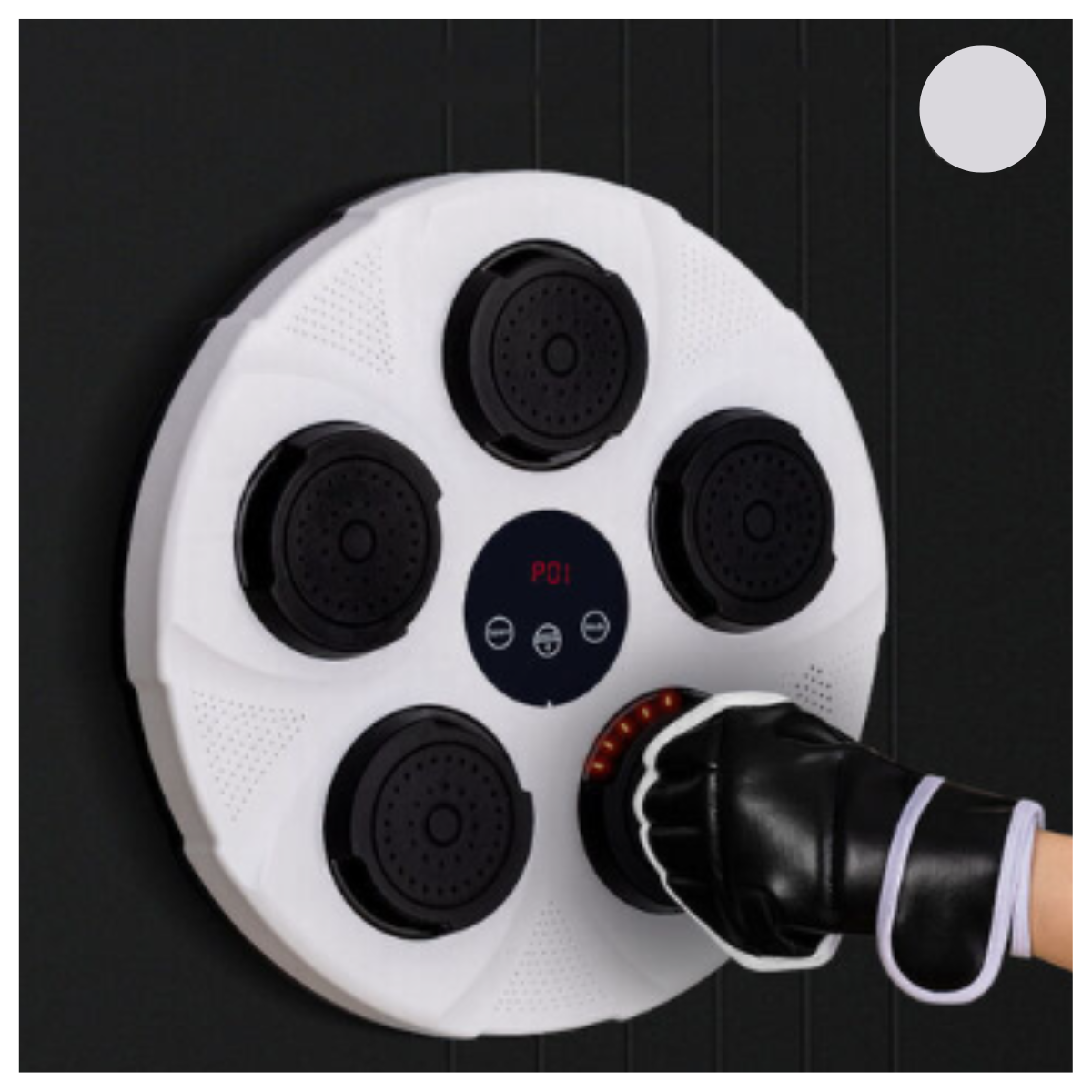 Gimnasio de Boxeo Personalizado de Pared