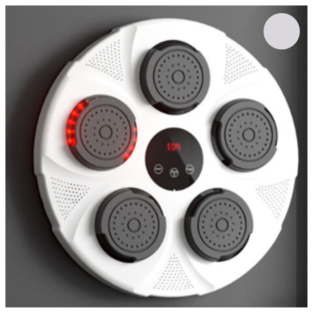 Gimnasio de Boxeo Personalizado de Pared