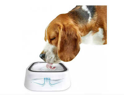 BEBEDERO ANTIDERRAME PARA PERROS Y GATOS