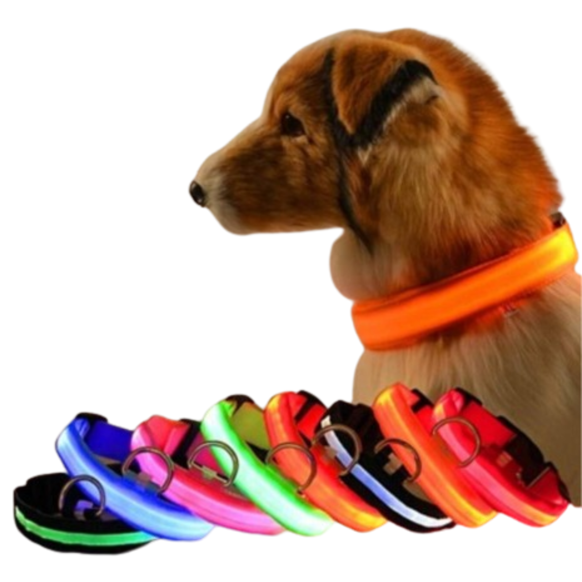 Collar Luminoso LED Recargable