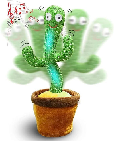 Cactus Bailarin Repetidor voz