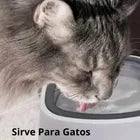 bebedero mascotas antiderrame