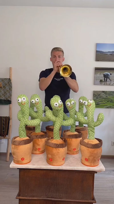 Cactus Bailarin Repetidor voz