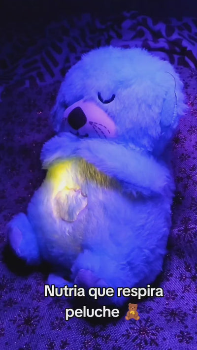 Nutria de Peluche Calmante Azul 